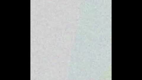 Snapshot of icdaryl2 chatting on 8, 2, 2025 ICDeez online show from 8, 2, 2025