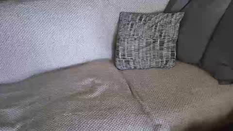 Snapshot of ich_hh chatting on 19, 2, 2026 SnowTiger online show from 19, 2, 2026