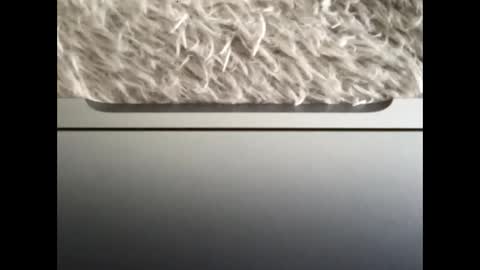 Snapshot of ijaisi chatting on 14, 9, 2025 Morvoys online show from 14, 9, 2025