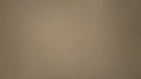 Snapshot of ijaisi chatting on 6, 11, 2025 Morvoys online show from 6, 11, 2025