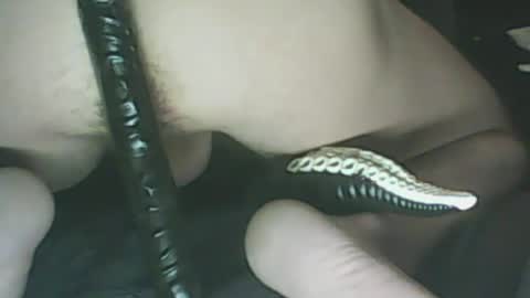 Snapshot of ikercheal chatting on 29, 1, 2025 ikercheal online show from 29, 1, 2025