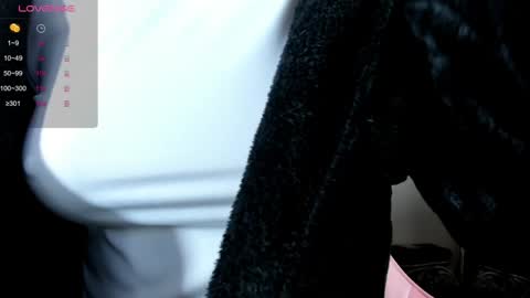 illegal_lorry online show from 30, 12, 2024