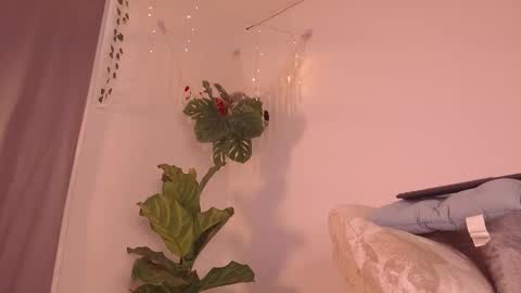 Kaia online show from 9, 1, 2026