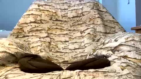 Snapshot of imaginaryvoyage chatting on 16, 12, 2025 thanks for visiting online show from 16, 12, 2025