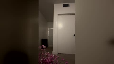 Snapshot of imlightskn chatting on 9, 4, 2026 imlightskn online show from 9, 4, 2026