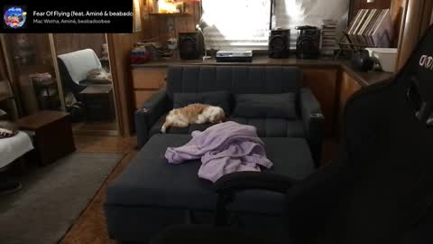 Carter online show from 11, 3, 2026