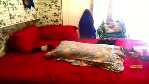 indian_blaze00 online show from 4, 2, 2025