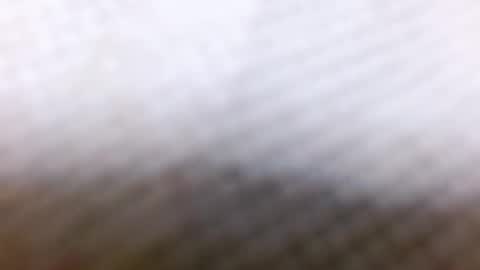 Snapshot of indianblue3 chatting on 28, 12, 2024 tracy online show from 28, 12, 2024