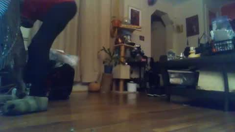 indigo_scorpio online show from 14, 11, 2025