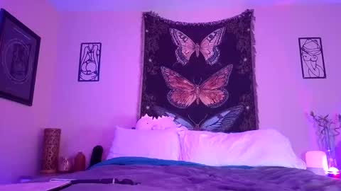 Snapshot of indigobay chatting on 19, 1, 2026 Indigo Bay online show from 19, 1, 2026