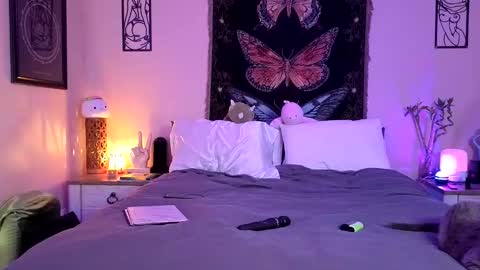 Snapshot of indigobay chatting on 26, 4, 2026 Indigo Bay online show from 26, 4, 2026