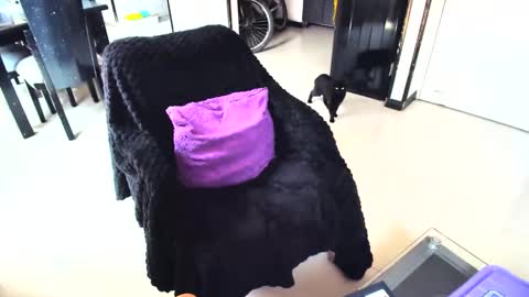 irina online show from 15, 2, 2025