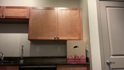 irissweets online show from 10, 4, 2026