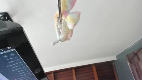 Snapshot of isabela_gomez3 chatting on 15, 6, 2026 Isabela online show from 15, 6, 2026