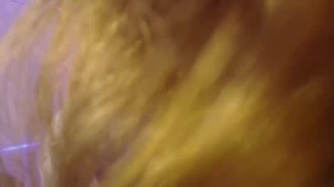 Snapshot of isabella_rross chatting on 6, 11, 2025 Isabella Rros online show from 6, 11, 2025