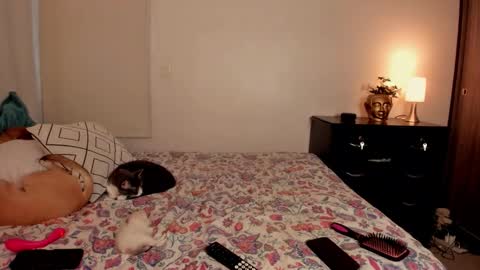 Isa online show from 31, 10, 2025