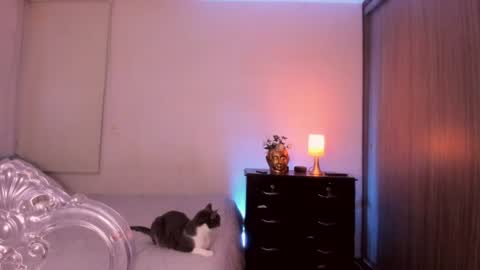 Snapshot of isabelprietoo chatting on 17, 7, 2026 Isa online show from 17, 7, 2026