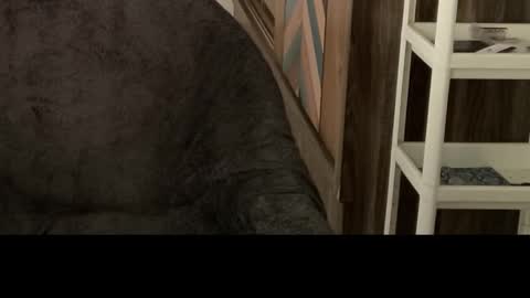 Raje online show from 29, 10, 2025