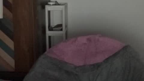 Raje online show from 1, 12, 2025