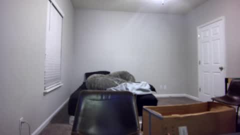 TARZAN online show from 13, 12, 2024