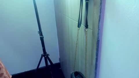 Diana Rojas  online show from 4, 2, 2025