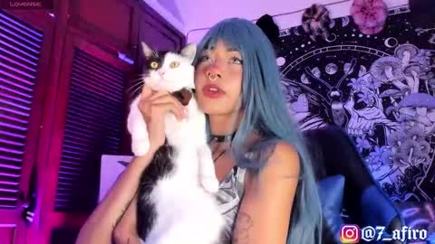   -    online show from 12, 2, 2026