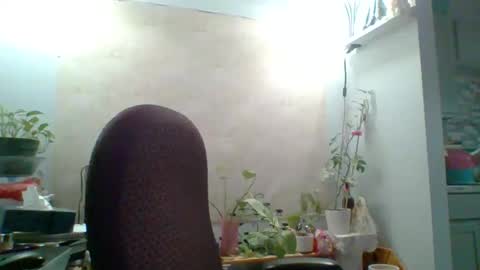Snapshot of ivyjane3522 chatting on 7, 5, 2026 ivyjane3522 online show from 7, 5, 2026