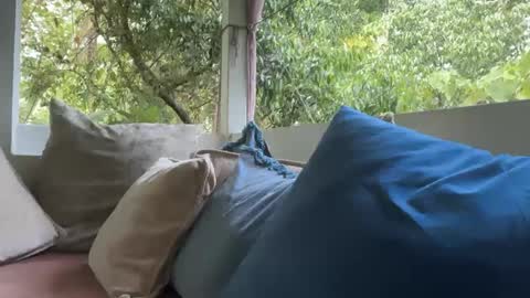 Snapshot of ivysagex chatting on 12, 9, 2025 ivysagex online show from 12, 9, 2025