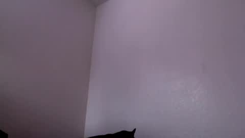 Snapshot of j0nnyk1ng chatting on 4, 2, 2025 Mugen online show from 4, 2, 2025