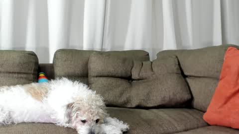 Snapshot of j_calix chatting on 20, 1, 2025 Calix Independient model Insta and twt Calixsnake online show from 20, 1, 2025