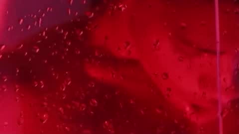 Snapshot of j_musiry chatting on 22, 11, 2025 i am juan musiry independent model online show from 22, 11, 2025