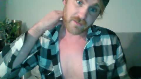 TR88 online show from 11, 12, 2024