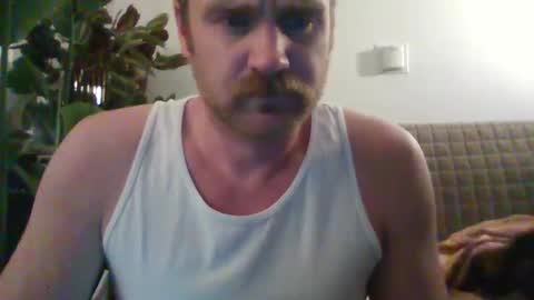 TR88 online show from 16, 2, 2025