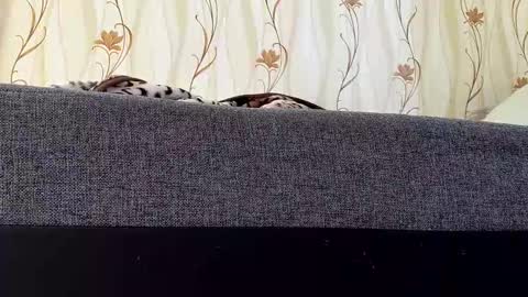 Snapshot of jaaaaanek2 chatting on 21, 4, 2026 jaaaaanek2 online show from 21, 4, 2026