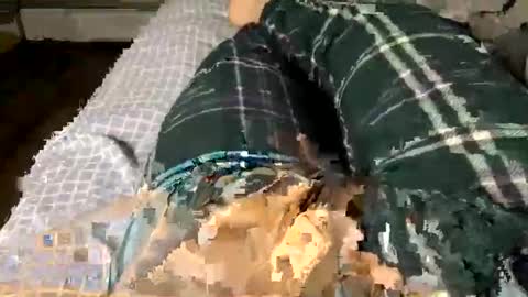 Jaaltar online show from 3, 12, 2025