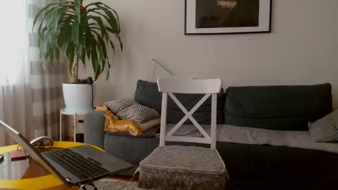 Snapshot of jacek___1 chatting on 27, 2, 2026 jacek___1 online show from 27, 2, 2026