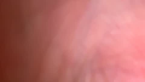Snapshot of jackjackerman chatting on 9, 5, 2026 jackjackerman online show from 9, 5, 2026