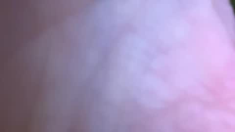 Snapshot of jackjackerman chatting on 16, 5, 2026 jackjackerman online show from 16, 5, 2026