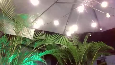 jacobdraven online show from 5, 12, 2025