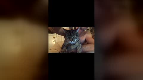 Jacob online show from 17, 12, 2025