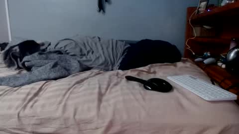 Snapshot of james30cup chatting on 16, 2, 2026 what you in too online show from 16, 2, 2026