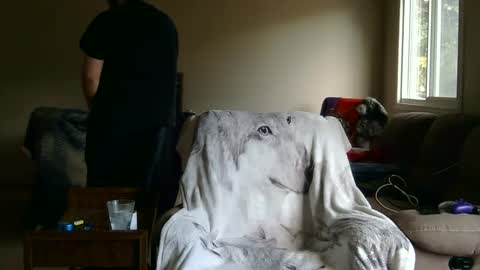 jameswolf777 online show from 27, 9, 2025