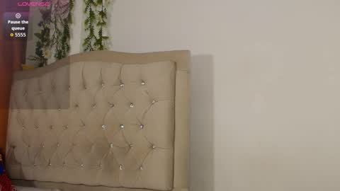 karol online show from 14, 11, 2025