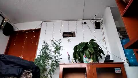 Snapshot of janariivera1 chatting on 11, 2, 2026 janariivera1 online show from 11, 2, 2026