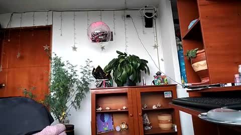 Snapshot of janariivera1 chatting on 24, 3, 2026 janariivera1 online show from 24, 3, 2026