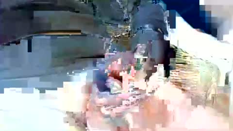 jani56 online show from 15, 4, 2026