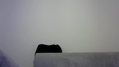 Snapshot of jaspal55 chatting on 9, 11, 2025 jaspal55 online show from 9, 11, 2025