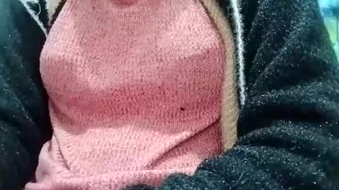 jasspreettt online show from 26, 12, 2024