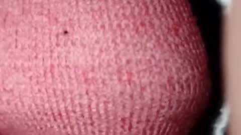 jasspreettt online show from 28, 12, 2024