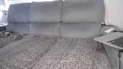 Javier  online show from 7, 12, 2024